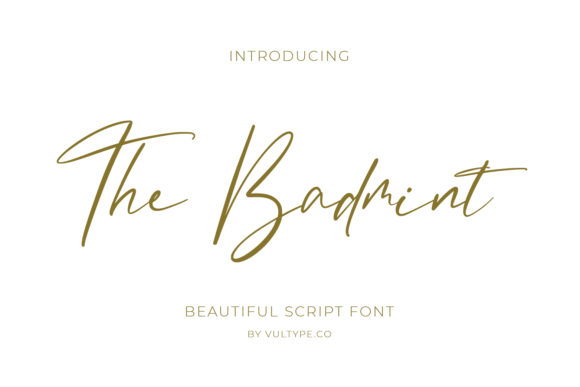 Choosing The Badmint Font for Elegant Web Design