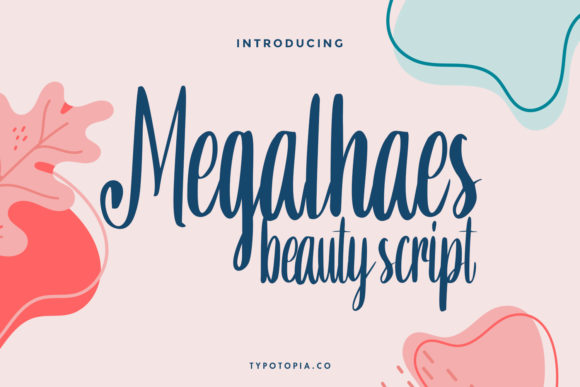 Elevate Your Brand with the Megalhaes Script Typeface