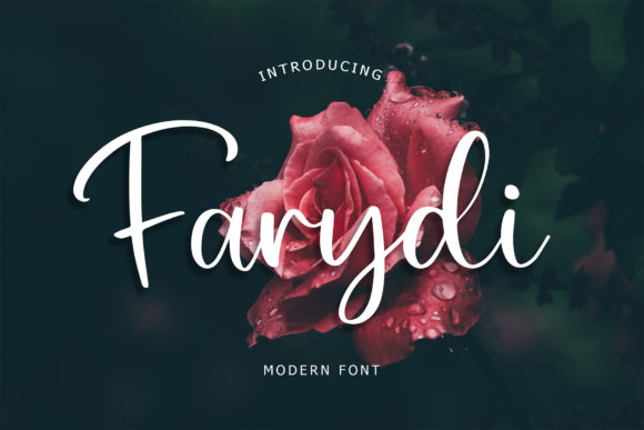 Farydi Font: Elevate Your Brand with Modern Script Typography
