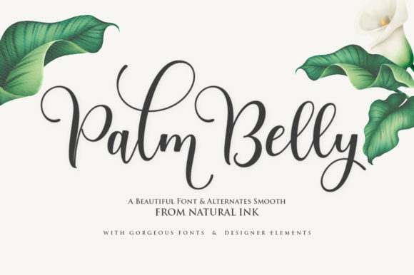 Palm Belly: A Modern Script Font for Branding