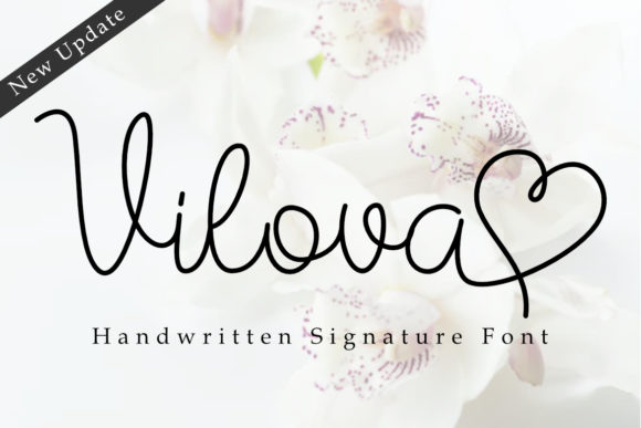 Vilova Font Review: Elegant Script for Branding