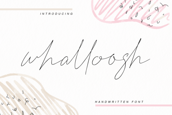 Whalloosh Script Font for Modern Web Design